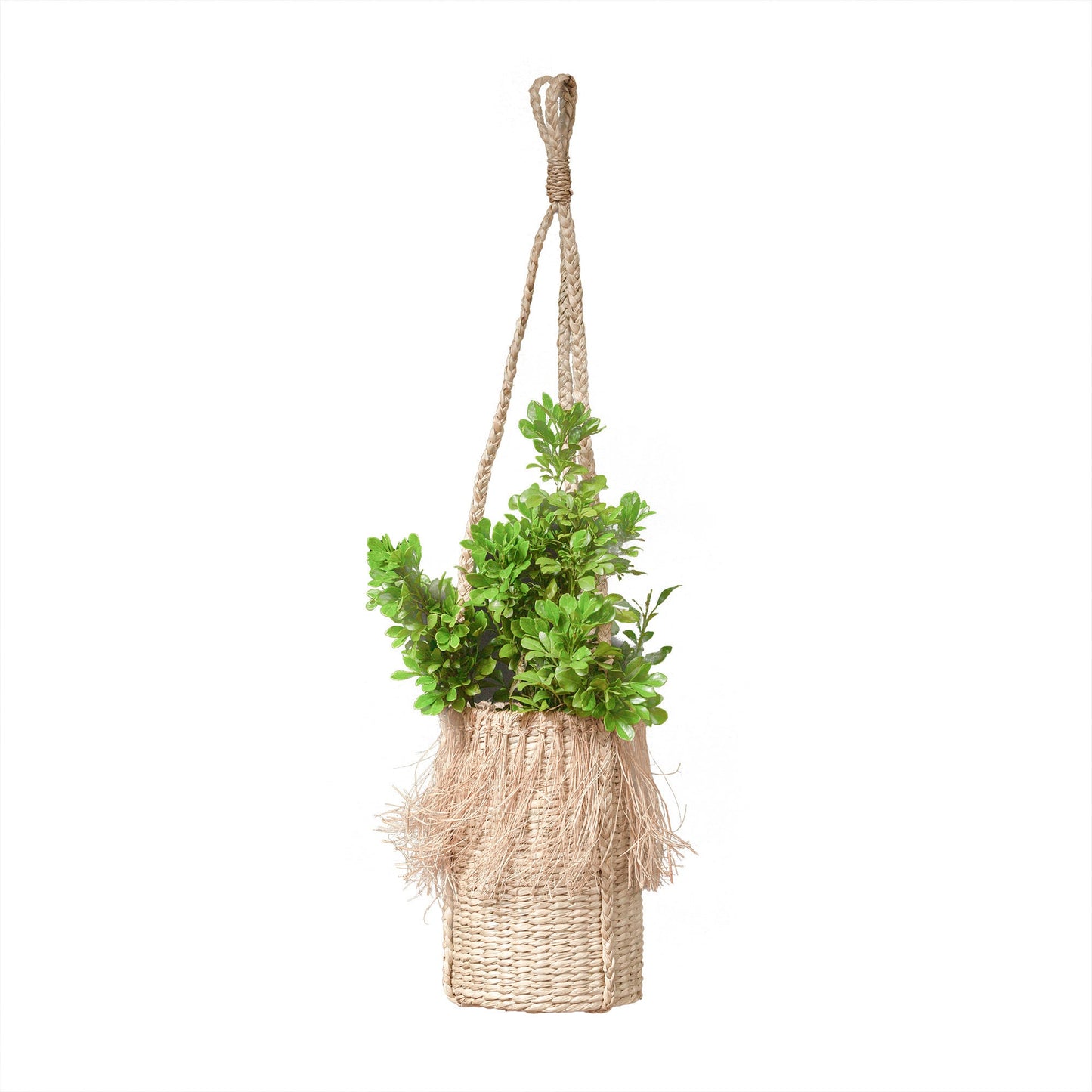 Seagrass Plant Hanger. Hanging Basket Creative Handmade by Artisans. Fair trade Hanging Basket. Outdoor Indoor Functional Wall Organiser