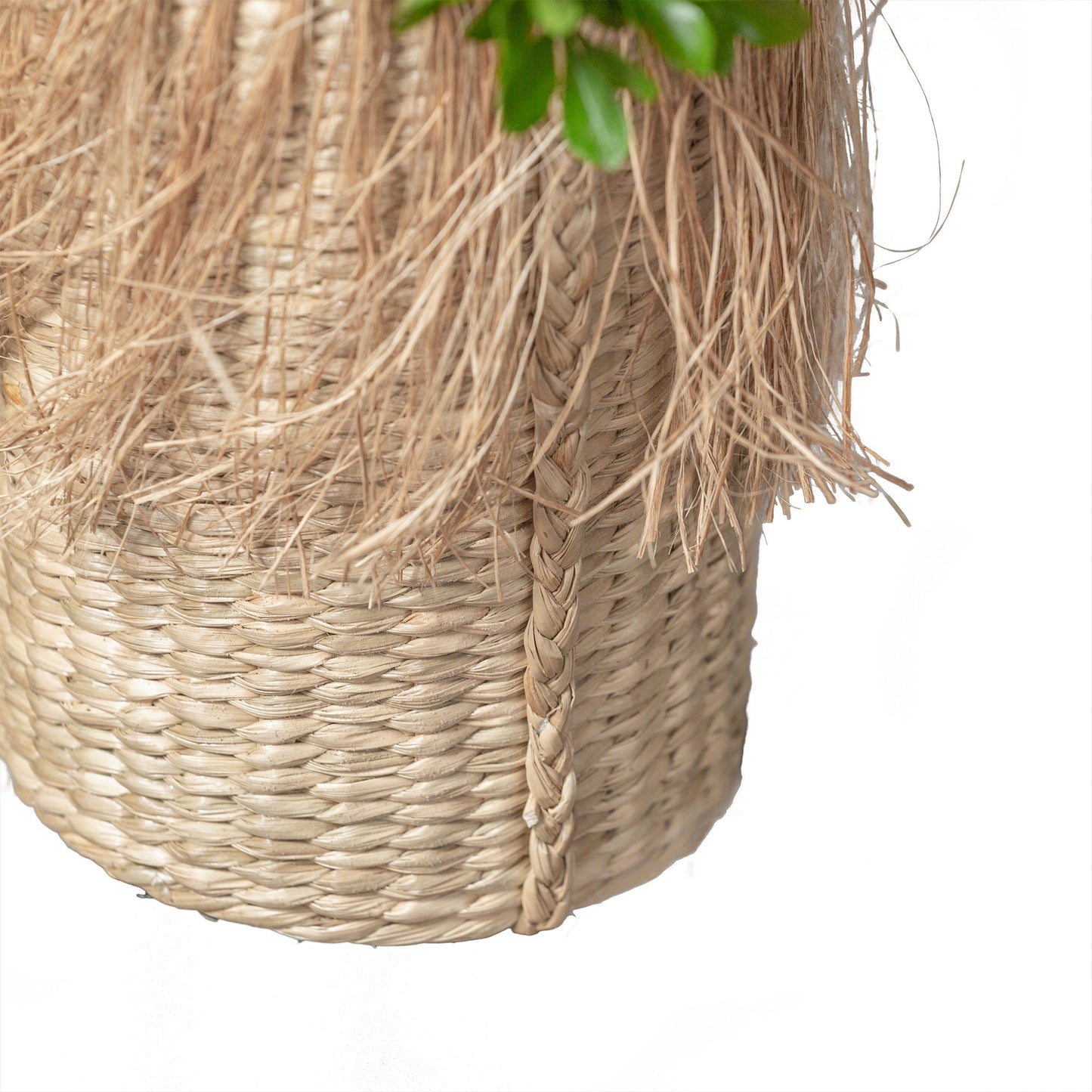 Seagrass Plant Hanger. Hanging Basket Creative Handmade by Artisans. Fair trade Hanging Basket. Outdoor Indoor Functional Wall Organiser